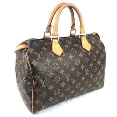 louis vuitton speedy 30 monogram