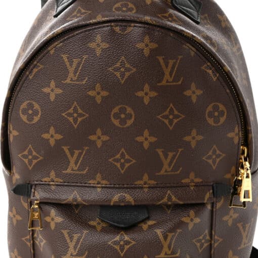 Louis Vuitton Monogram Palm Springs Backpack PM - Image 2