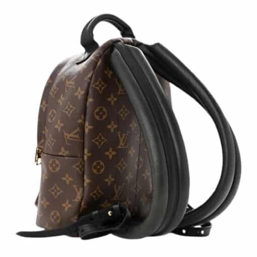 Louis Vuitton Monogram Palm Springs Backpack PM - Image 9