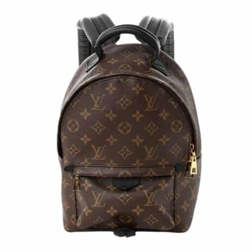 Louis Vuitton Monogram Palm Springs Backpack PM