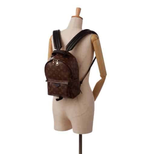 Louis Vuitton Monogram Palm Springs Backpack PM - Image 11